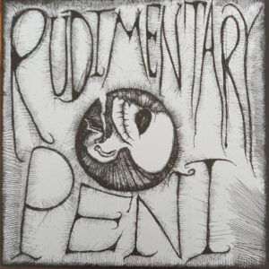 Rudimentary Peni - Rudimentary Peni