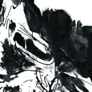 PERSPEX FLESH - s/t