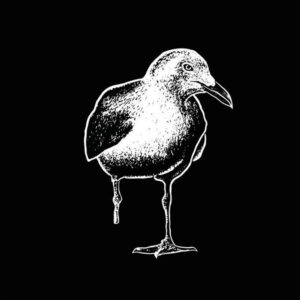 STIFF RICHARDS - s/t