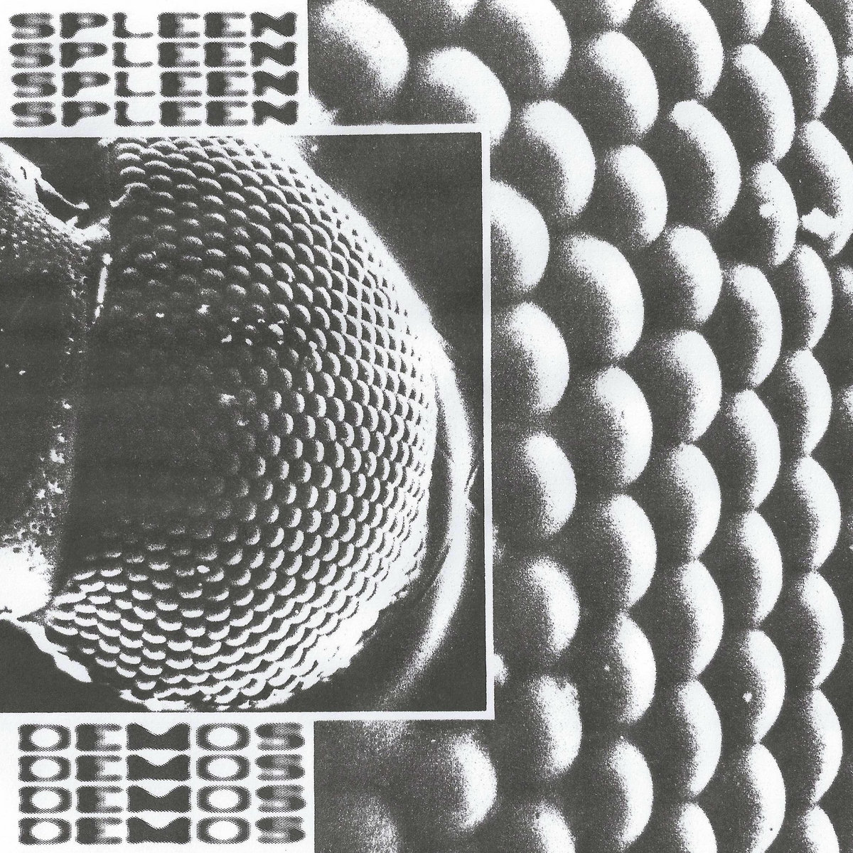 SPLEEN - Demos